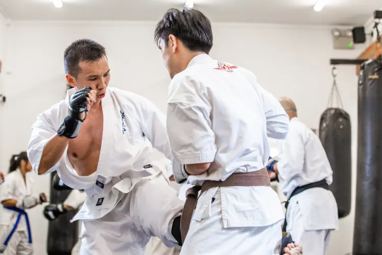 Mixed Martial Arts