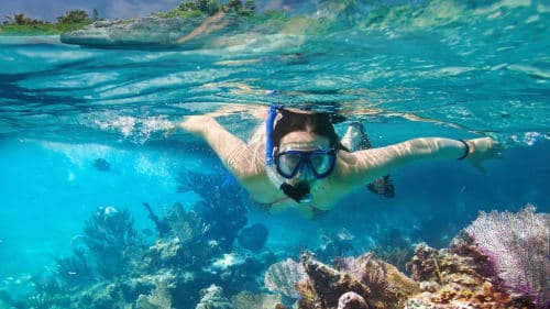 Intro to Snorkeling